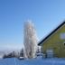 Andet