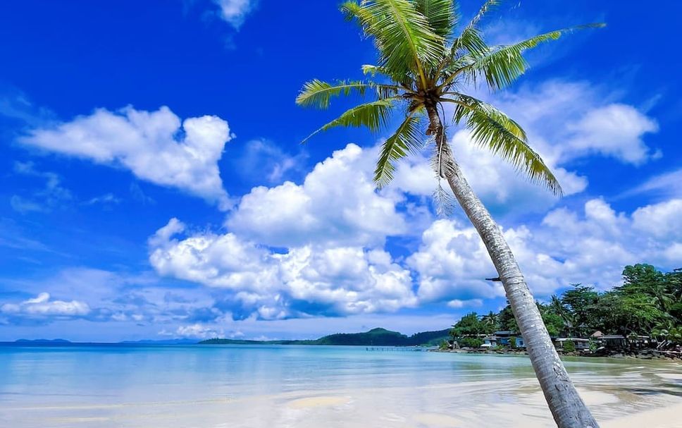 Strand Billede