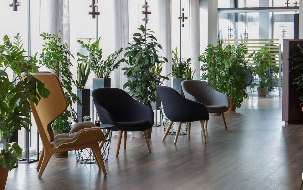 Reception Billede