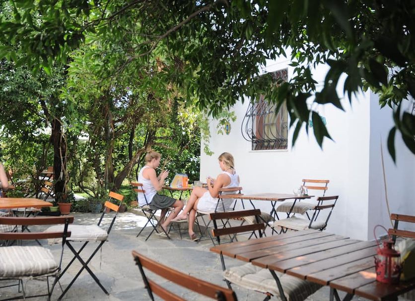 Patio Billede