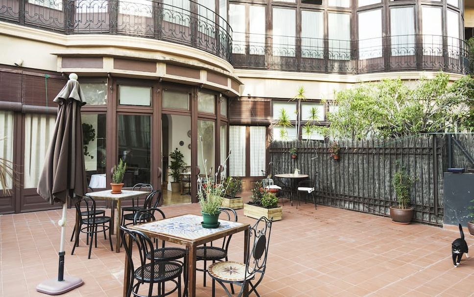 Patio Billede