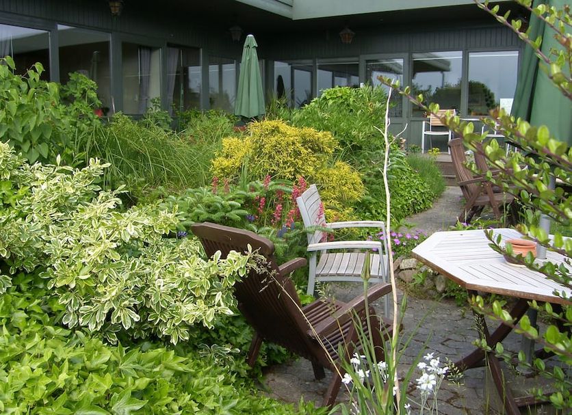 Patio Billede