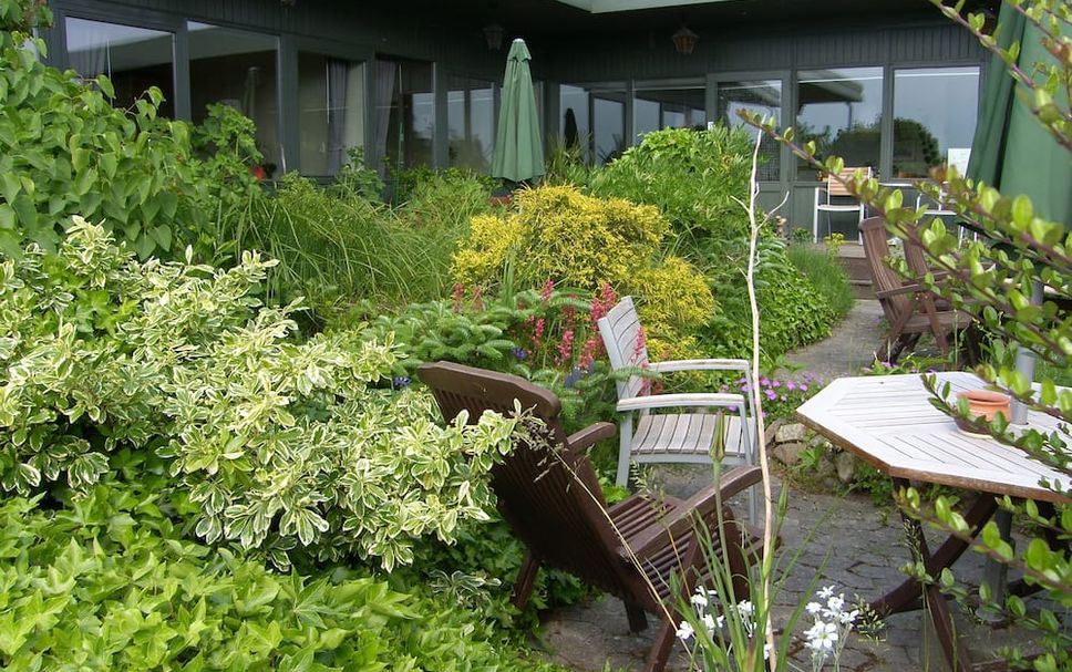 Patio Billede