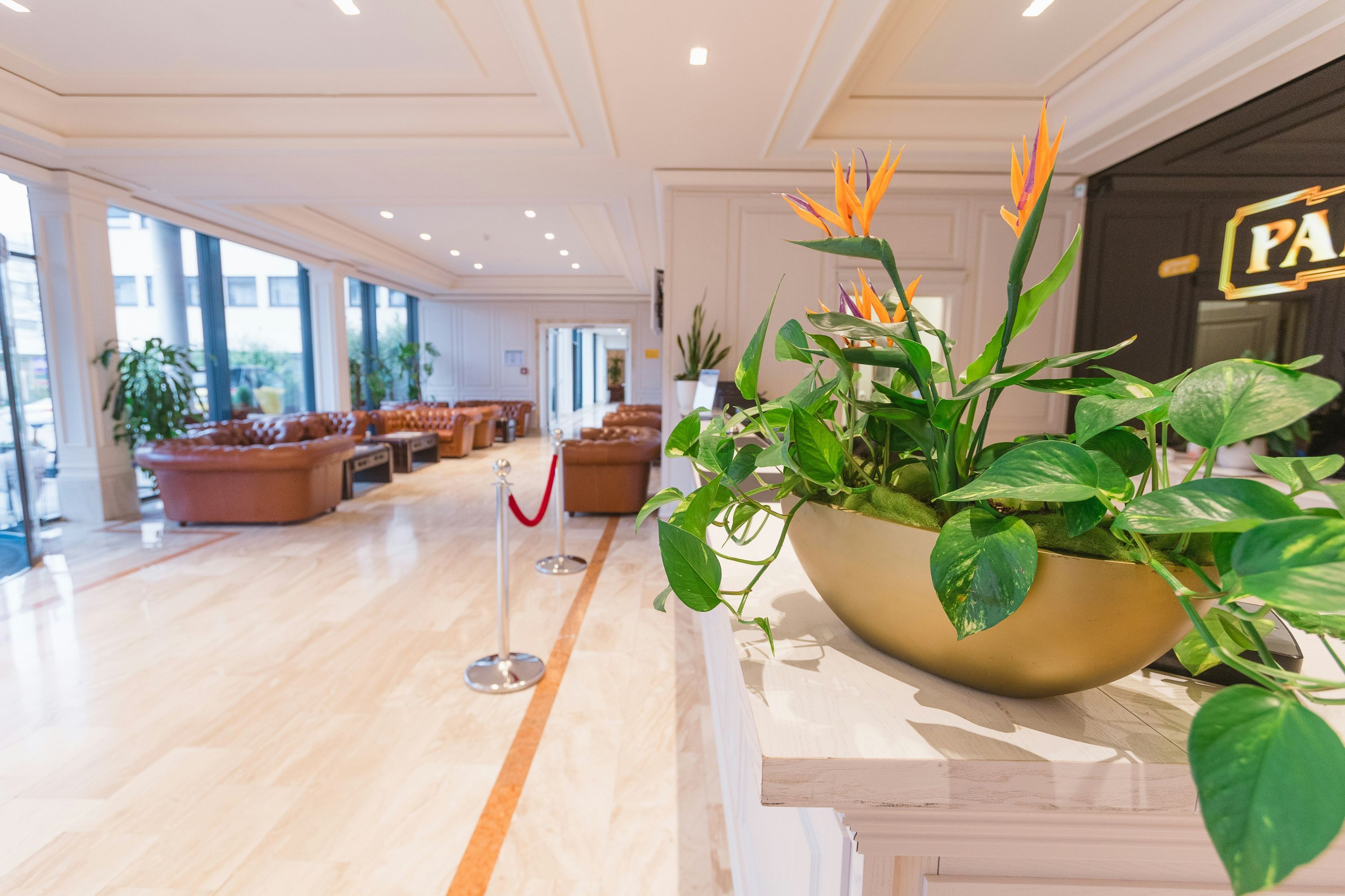Reception