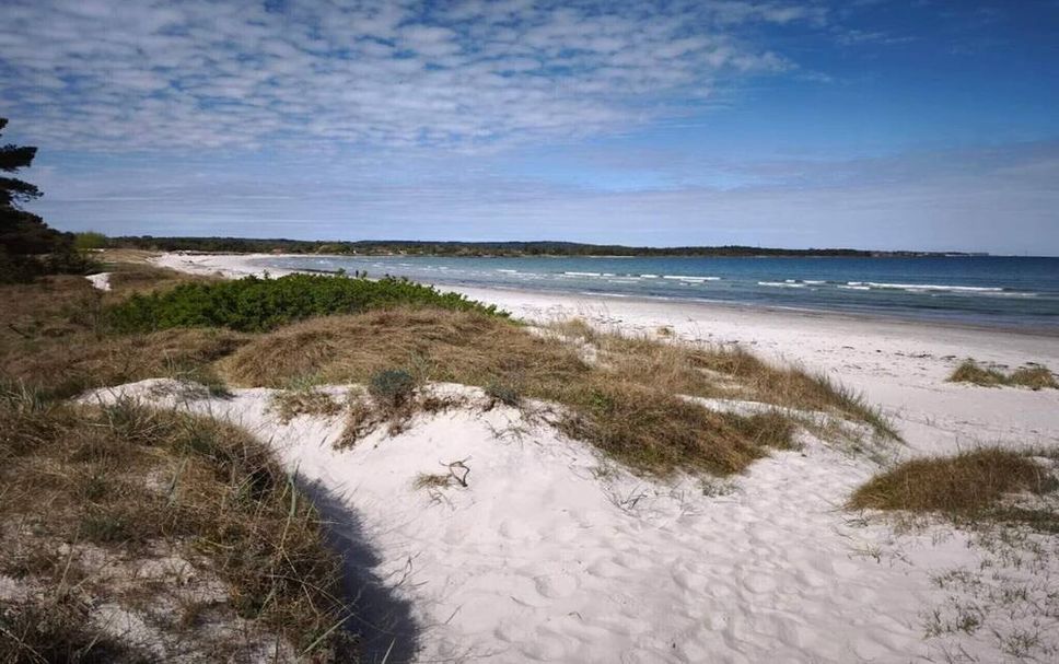 Strand Billede