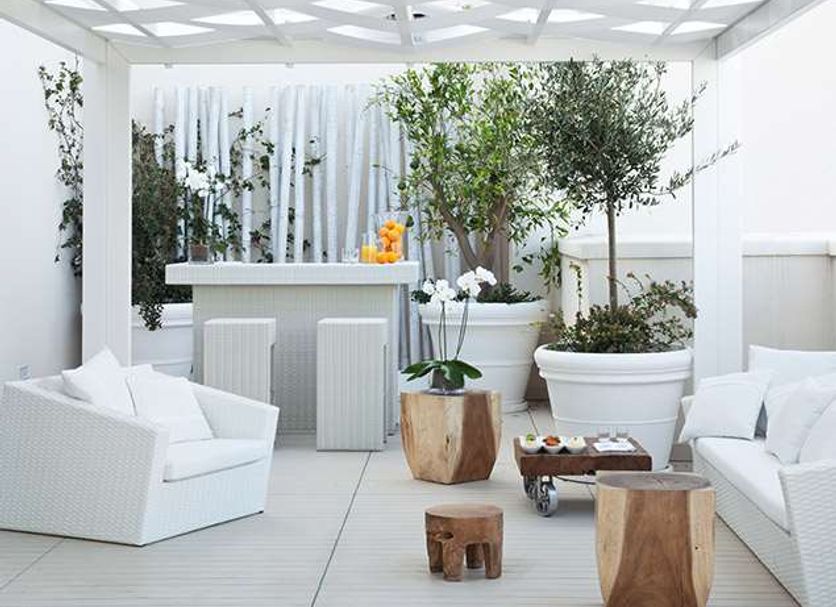 Patio Billede