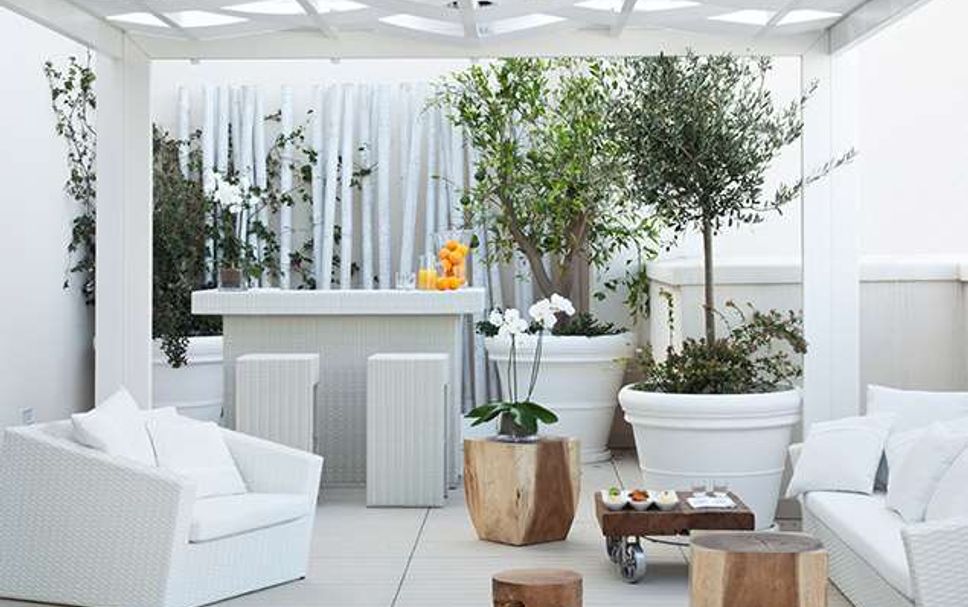 Patio Billede