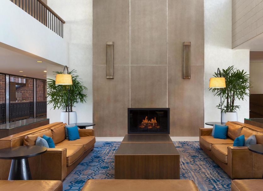 Lounge Billede