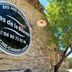 Udsigt
