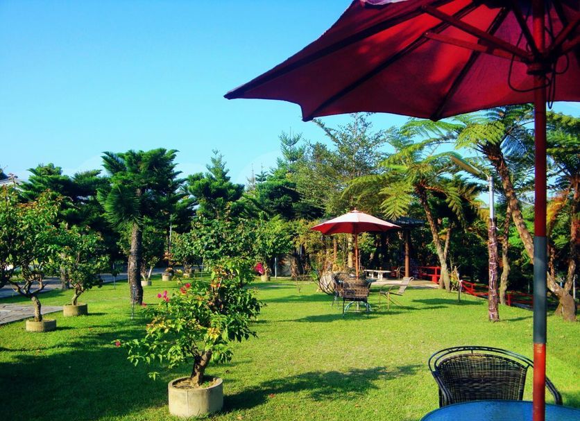 Patio Billede