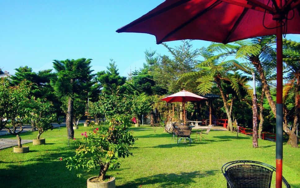 Patio Billede
