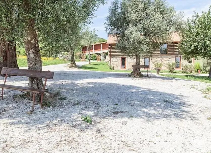 Patio Billede