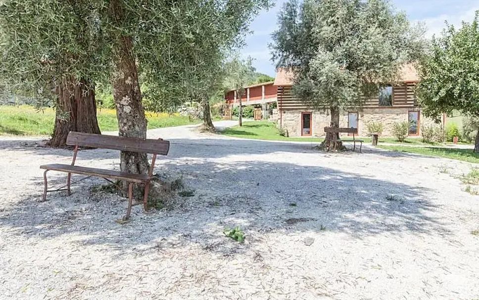 Patio Billede