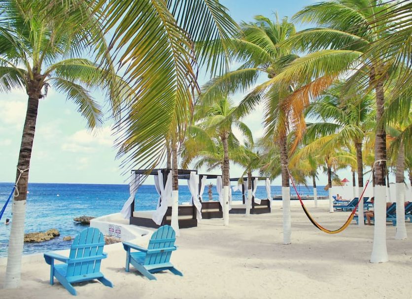 Strand Billede