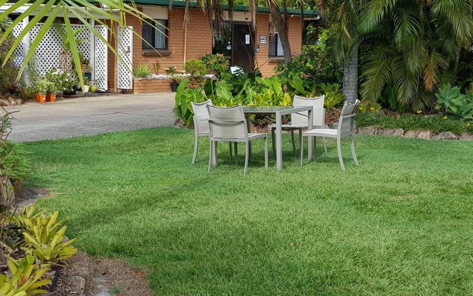 Patio Billede