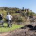 Andet