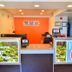 Receptionist