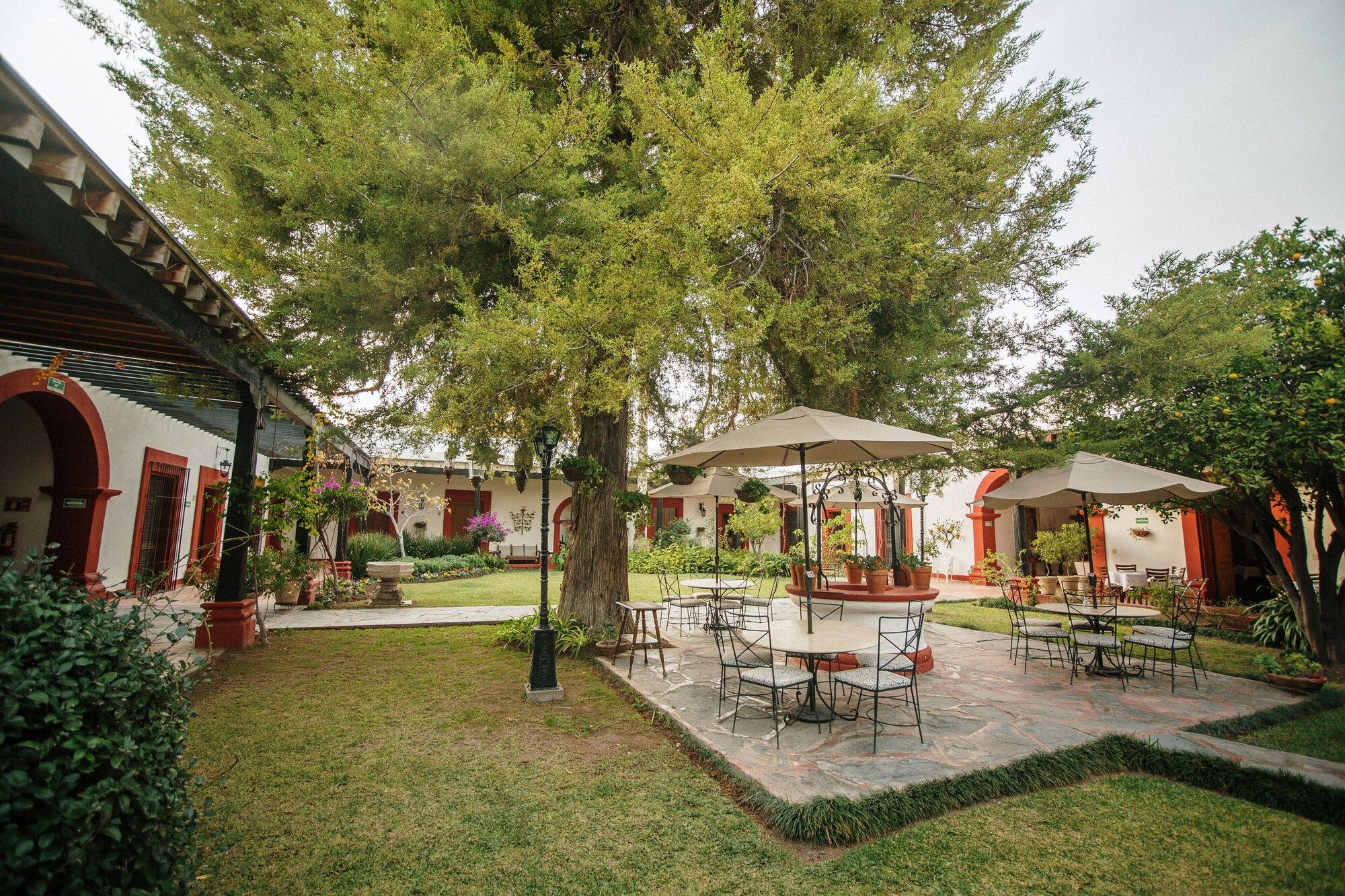 Patio Billede