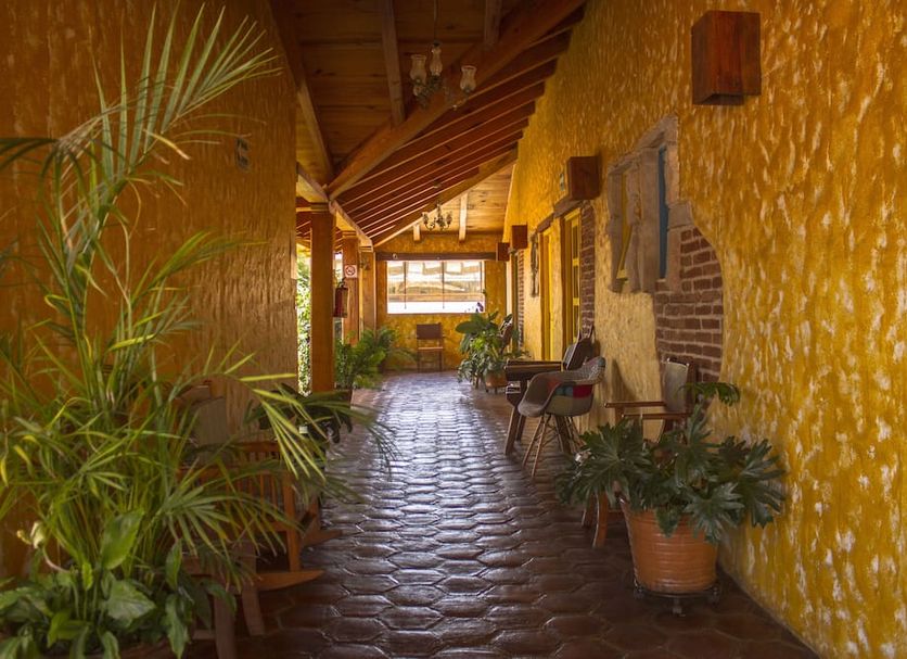 Patio Billede
