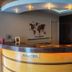 Receptionist