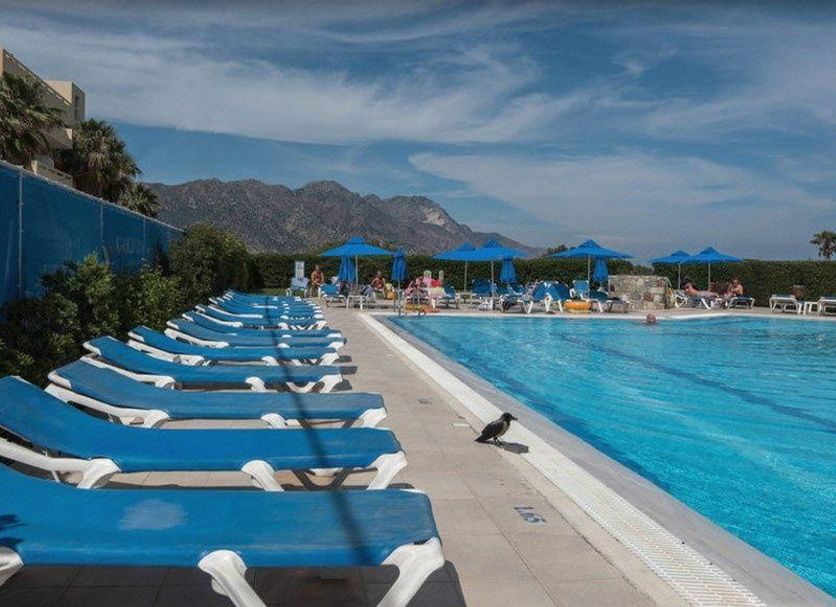 Pool Billede