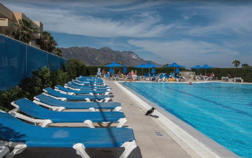 Pool Billede