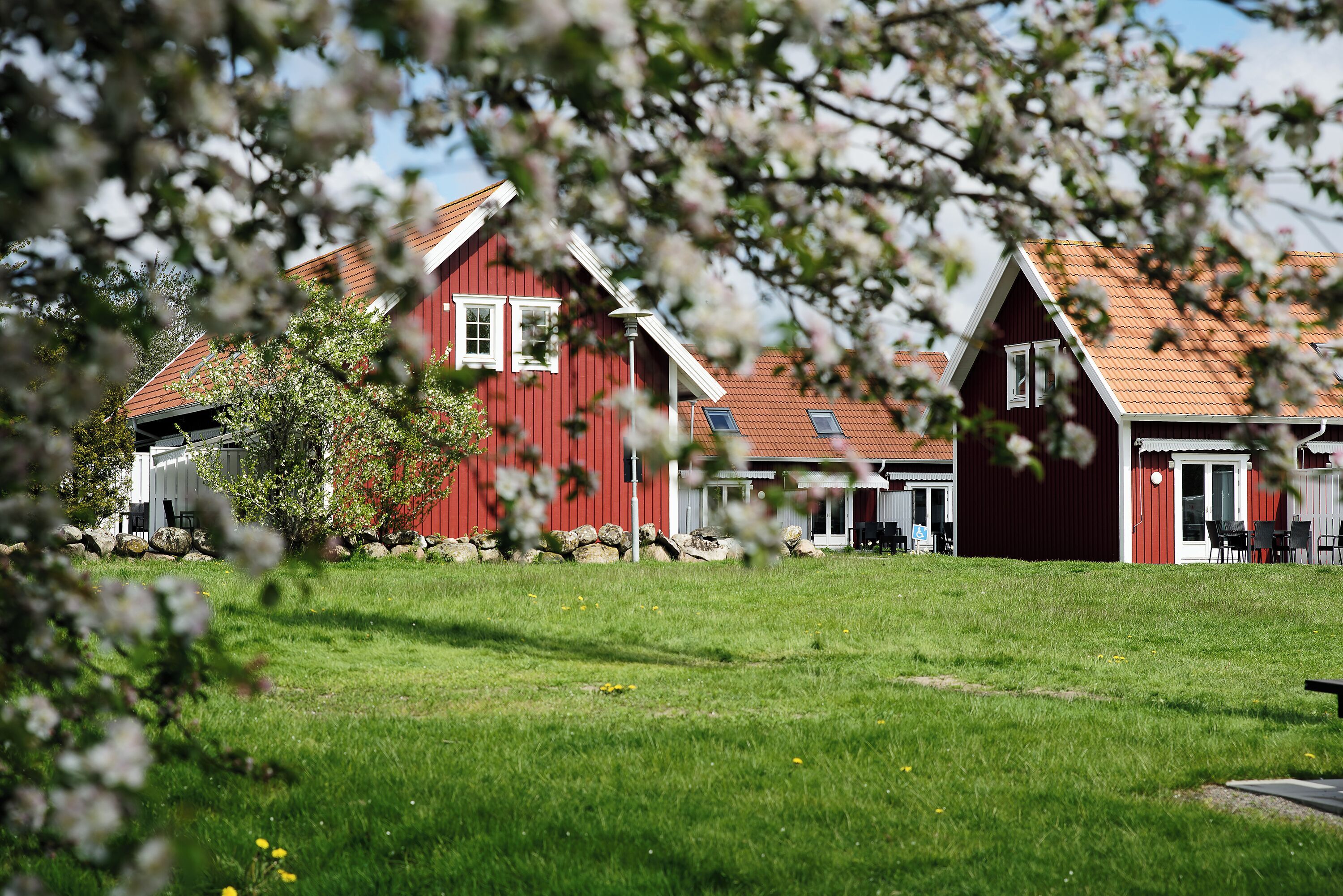Andet