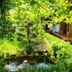 Udsigt