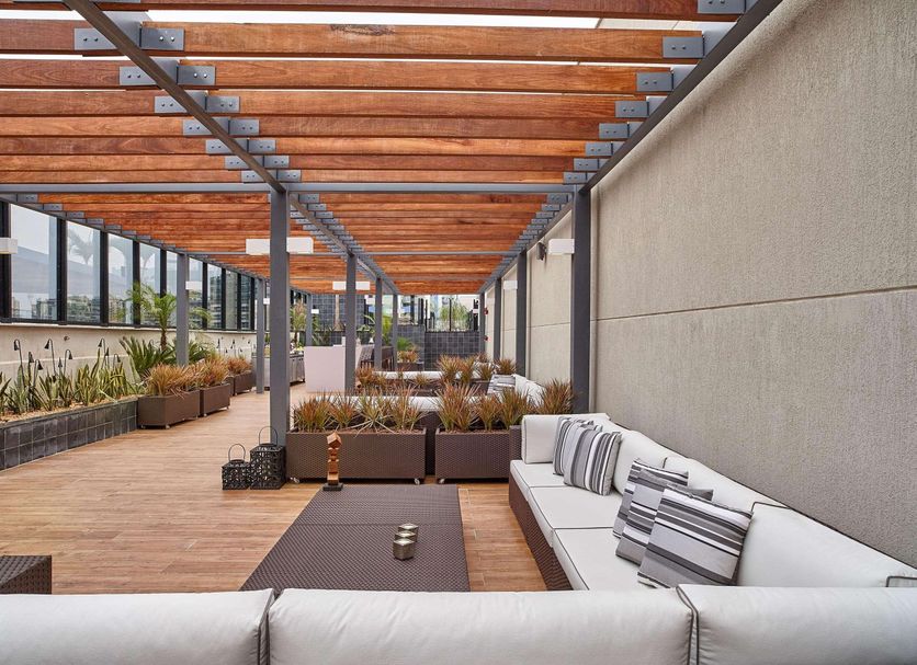 Patio Billede