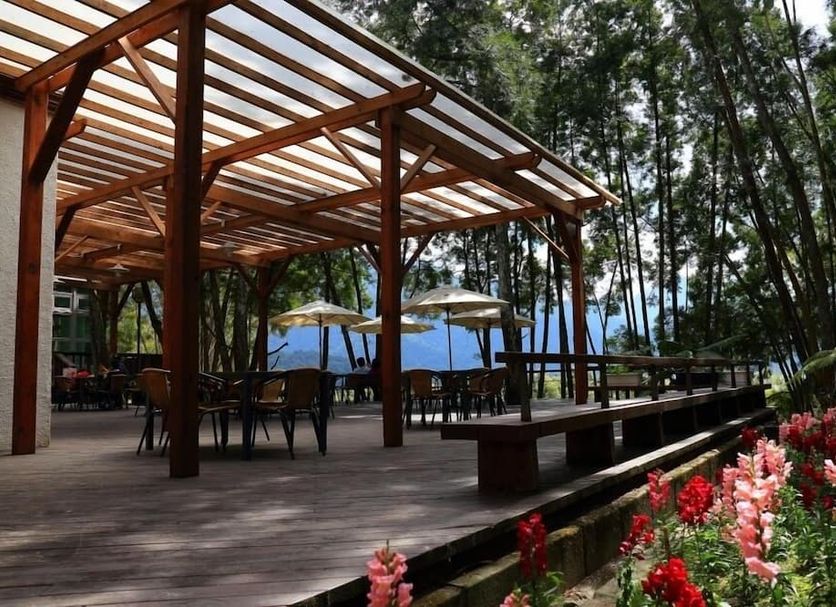 Patio Billede