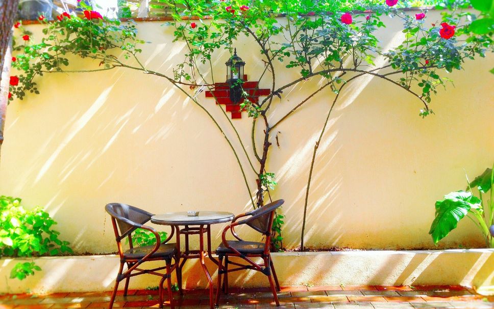 Patio Billede