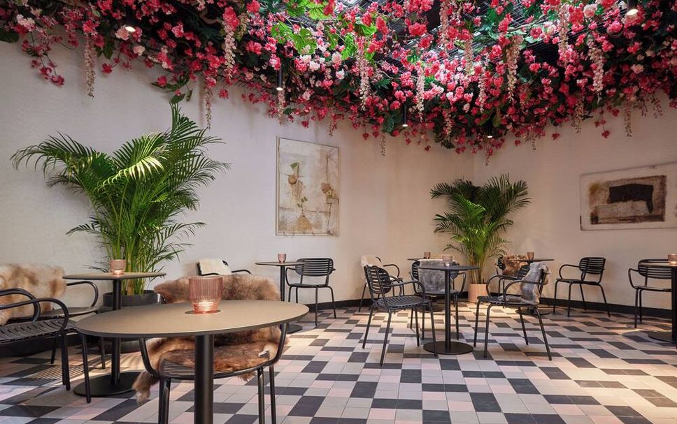 Patio Billede