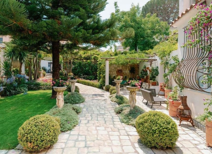 Patio Billede