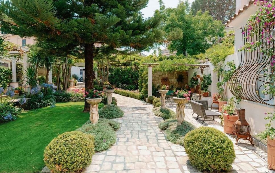 Patio Billede