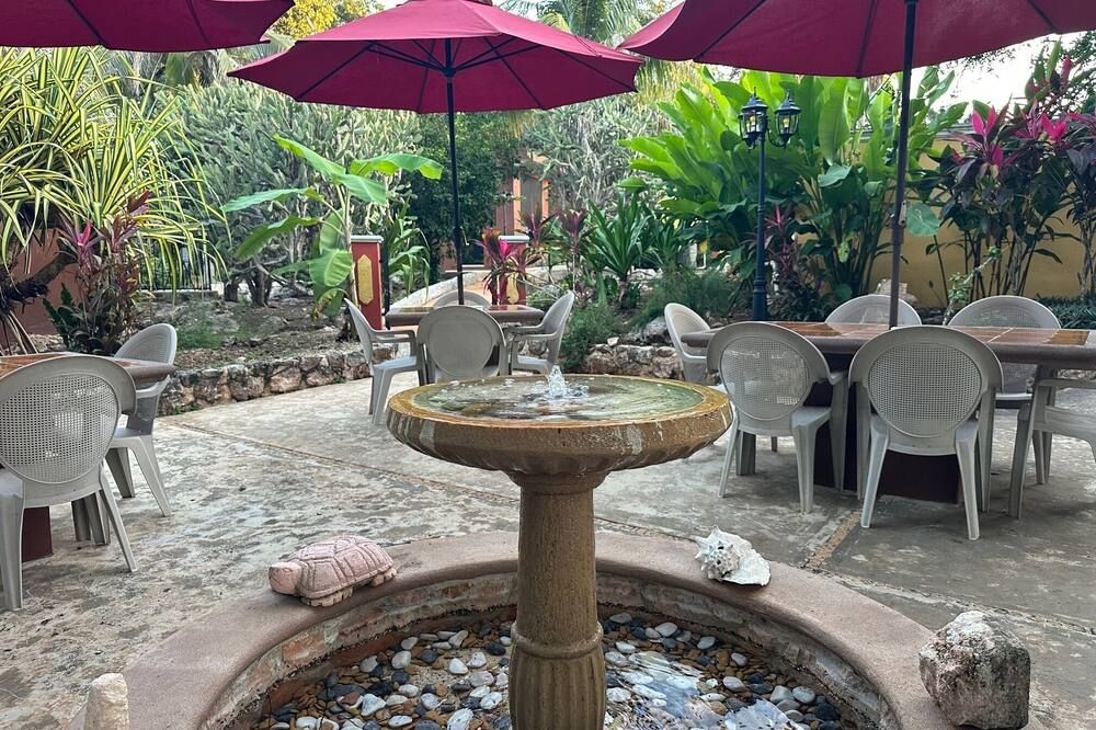Patio Billede