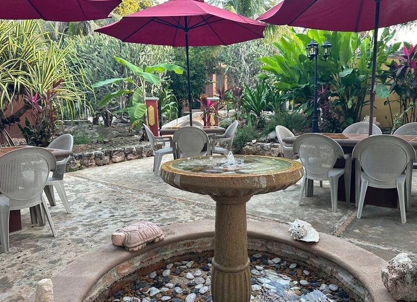 Patio Billede