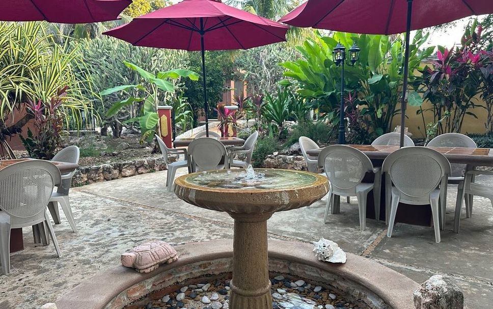 Patio Billede
