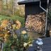 Andet