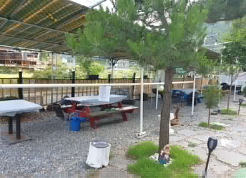 Patio Billede