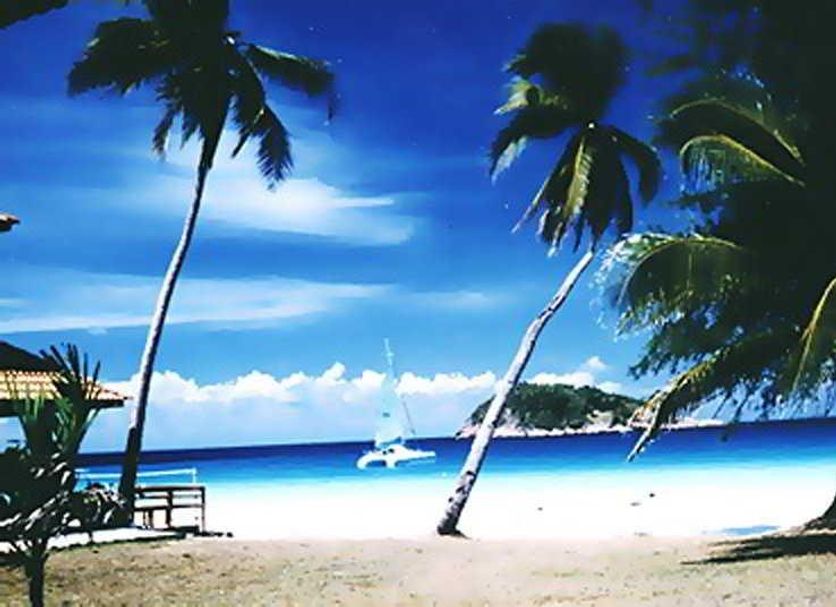 Strand Billede