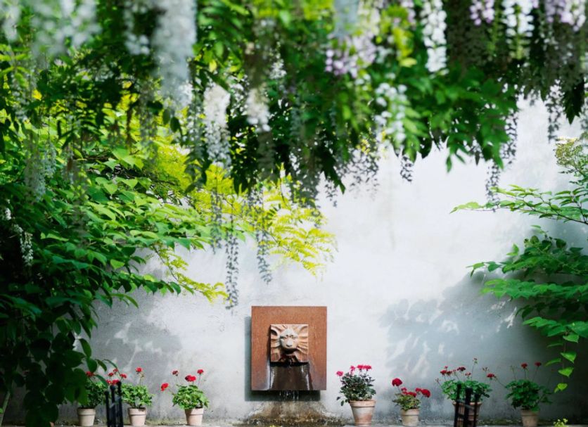 Patio Billede