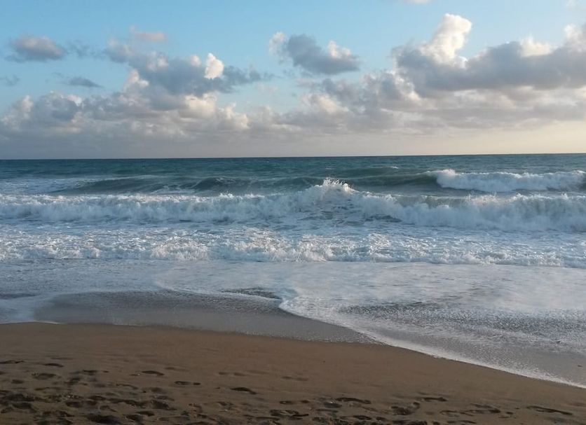 Strand Billede