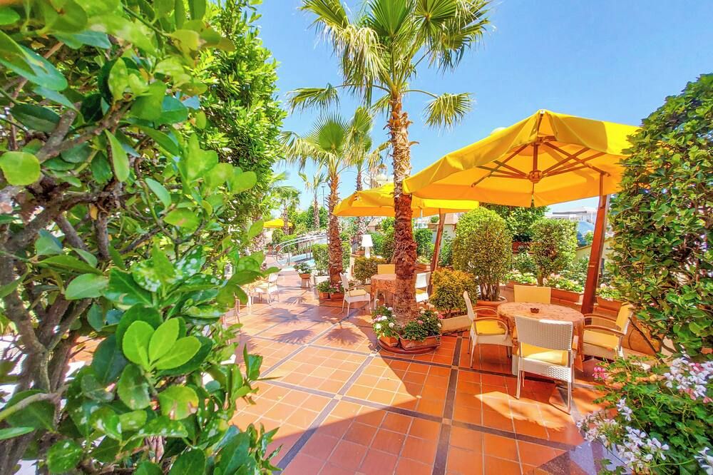 Patio Billede
