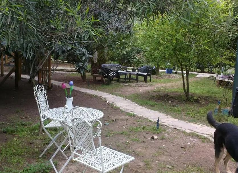 Patio Billede