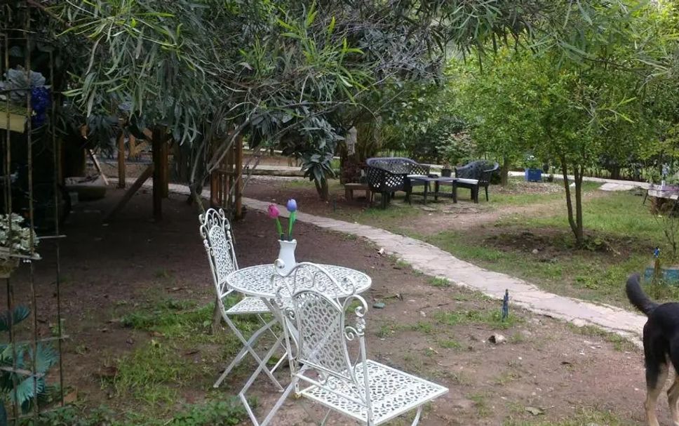 Patio Billede