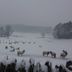Andet