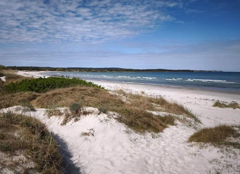Strand Billede