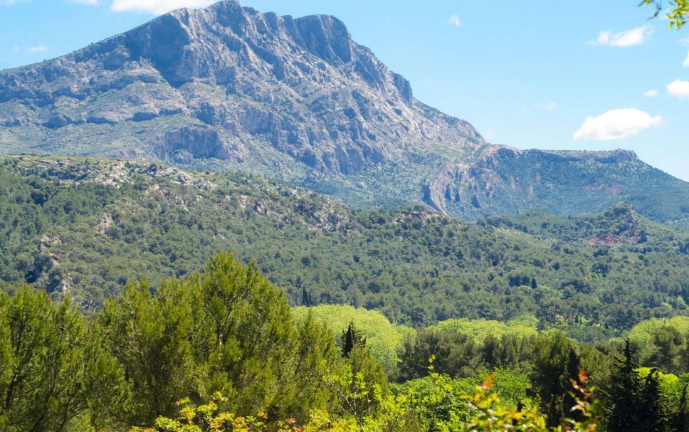 Andet Billede