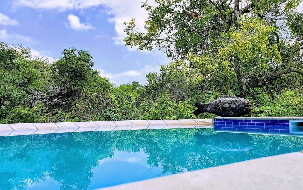 Pool Billede