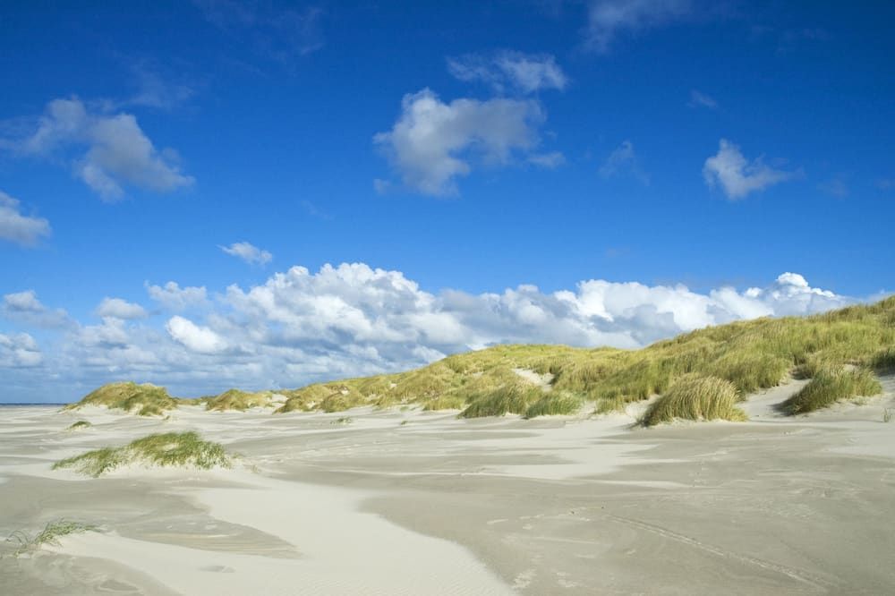 Strand Billede